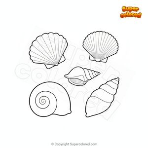 Conchas