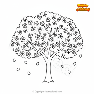 Cerezo en flor