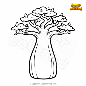 Baobab