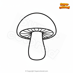 Hongos