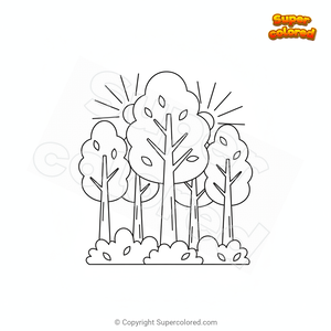 Bosque