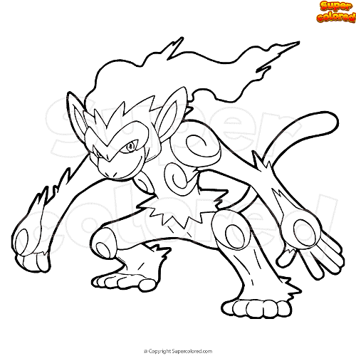 pokemon coloring pages chimchar