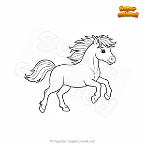 Poni